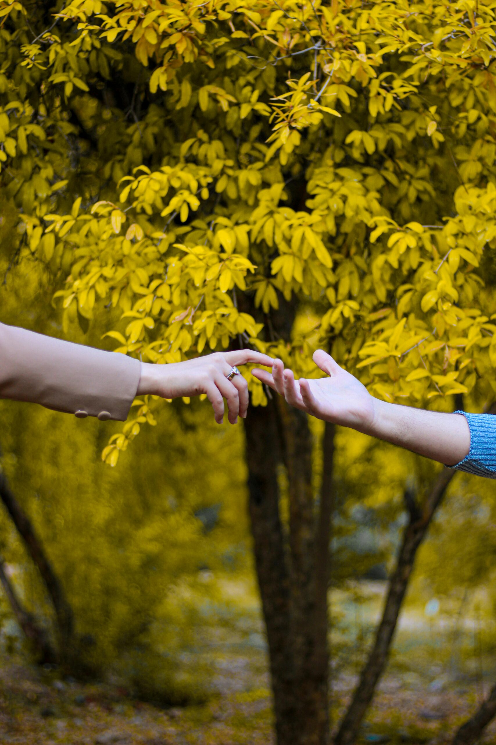 Two people reaching for each other's hands against a backdrop of vibrant autumn foliage.